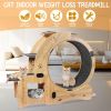 Cat Wheel 4-in-1 Cat Exercise Wheel,Upgraded Cat Wheel Exerciser for Indoor Cats,Large Cat Treadmill,Cat Running Wheel with Silent Wheel,Cat Walking W