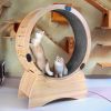 Cat Exercise Wheel ‚Äì Running, Spinning, and Scratching Fun, Cat Treadmill with Carpeted Runway, Kitty Cat Sport Toy, Great for Physical Activity and