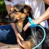 Portable Dog Shower Easy Install Pet Supplies Water Spray Dog Bath Brus Use