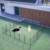 Dog Playpen Foldable 24 Panels Dog Pen 40" Height Pet Enclosure Dog Fence