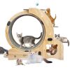 Cat Wheel 4-in-1 Cat Exercise Wheel,Upgraded Cat Wheel Exerciser for Indoor Cats,Large Cat Treadmill,Cat Running Wheel with Silent Wheel,Cat Walking W