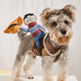 Cowboy Rider Pet Costume, Funny Dog Costume For Small Medium Dogs (Color: Mixed Color, size: XL)