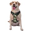Pet Harness Vest with Quick-Dry, Mold-Resistant Leash: Lightweight and gentle.