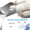 Dog Nail Clippers Toe Trimmer Stainless Steel Grooming Tool Free Nail File S,M,L
