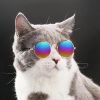 Pet Sunglasses Dog Cat Vintage Round Reflection Glasses for Photos Props