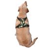 Pet Harness Vest with Quick-Dry, Mold-Resistant Leash: Lightweight and gentle.
