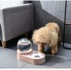 Large Pet Feeder Automatic Drinking Fountain and Food Bowl Pet Water Dispenser