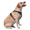 Pet Harness Vest with Quick-Dry, Mold-Resistant Leash: Lightweight and gentle.