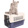Plastic Dog Carrier Cage Portable Pet Box Airline Approved, Medium, Blue/Red