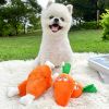 Double-bone Chicken Leg Plush Toy Vocal Connotation BB Pet Dog Cat Toy