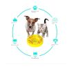 Dog Puzzle Toys Slow Feeder Interactive Increase Puppy IQ Food Dispenser