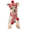 Dog Christmas Reindeer Elk Antlers Headband and Scarf Set Pet Christmas