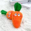 Double-bone Chicken Leg Plush Toy Vocal Connotation BB Pet Dog Cat Toy